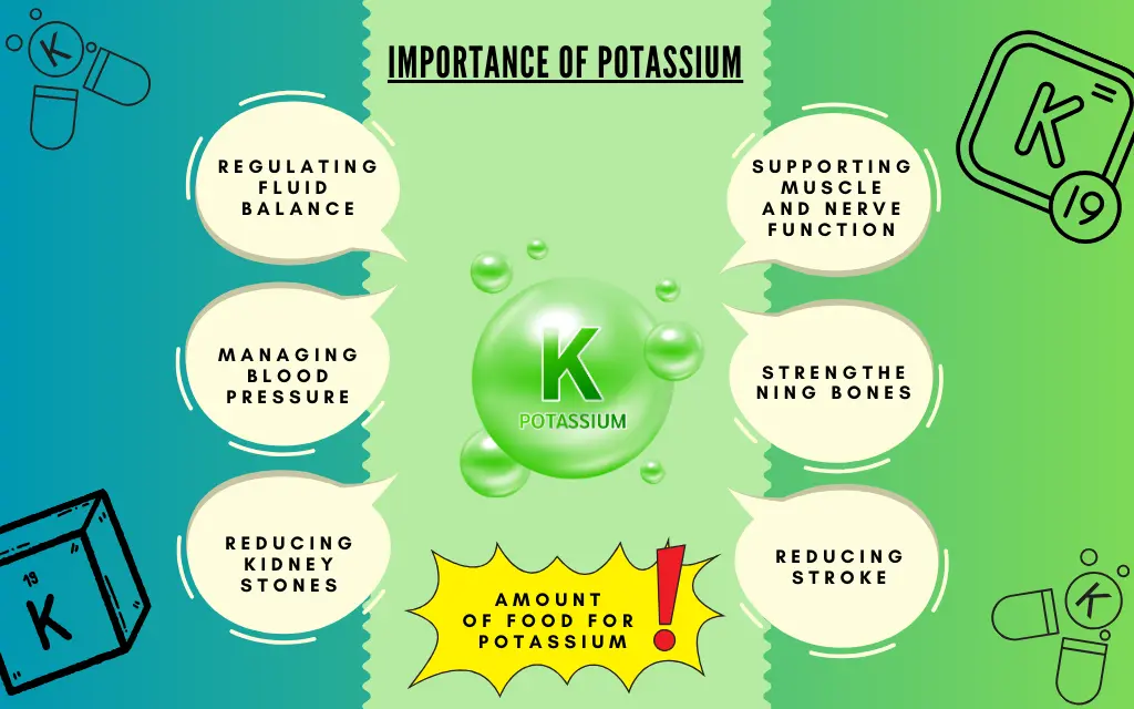 Potassium Functions in the Body