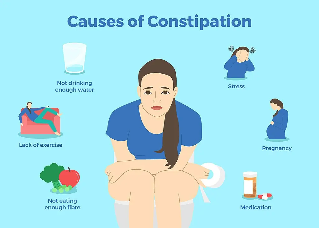 Causes of Constipation Graphic