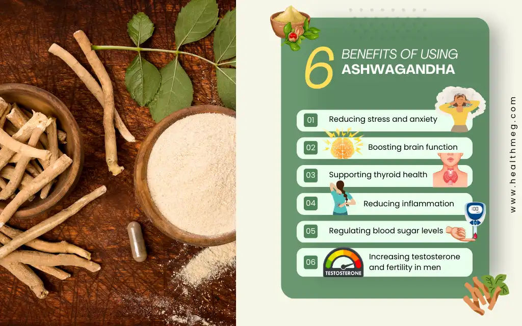Benefits of Using Ashwagandha