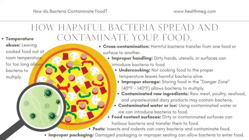 Infographic Image Showing How do Bacteria Contaminate Food