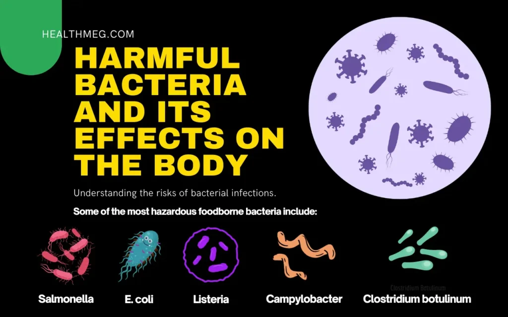 Hazardous foodborne bacteria that can affect certain foods and our body