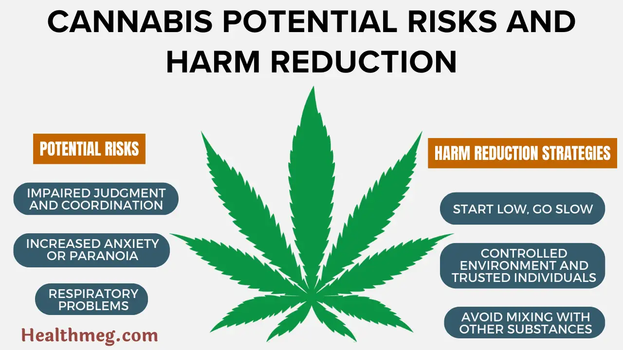 Cannabis Potential Risks and Harm Reduction