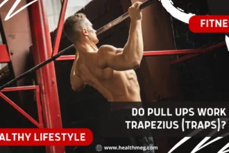 Do Pull Ups Work Trapezius (Traps)? Lets Find Out