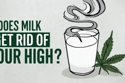 Does Milk Get Rid Of Your High?