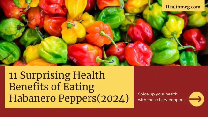 11 Surprising Health Benefits of Eating Habanero Peppers (2024)