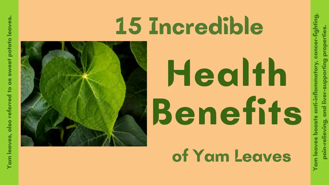 15 Incredible Health Benefits of Yam Leaves and Recipes