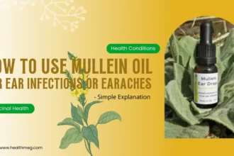 How To Use Mullein Oil For Ear Infections or Earaches: #1 Simple Explanation