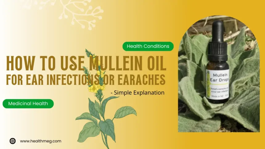 How To Use Mullein Oil For Ear Infections or Earaches: #1 Simple Explanation