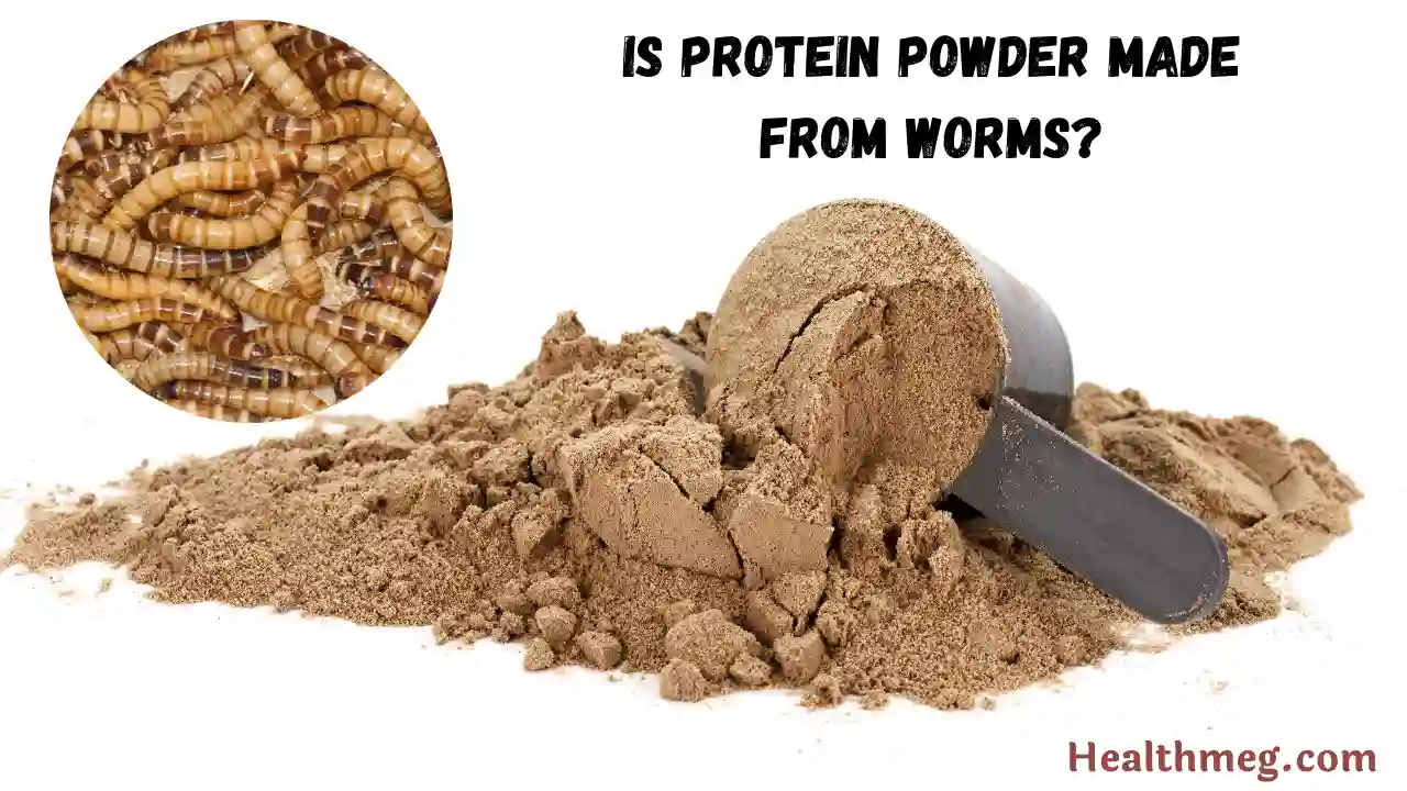 Is Protein Powder Made From Worms?