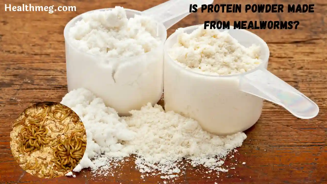 Is protein powder made from mealworms?