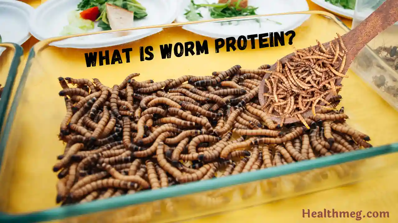 What is Worm Protein?